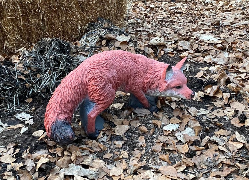 3D Parcour Bogensport - Offenburg (Ortenaukreis) - 3D Bogenparcours Sexau