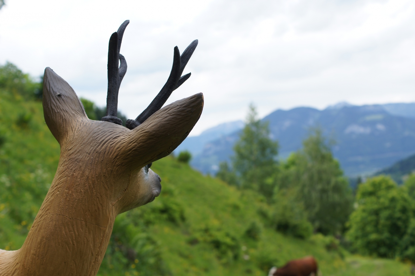 Urlaub & Essen-Details: Bogenschießen im Mühlviertel