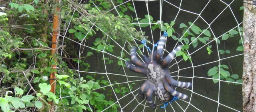 3D Parcour Bogenschießen: Grünten-Bogen Kranzegg