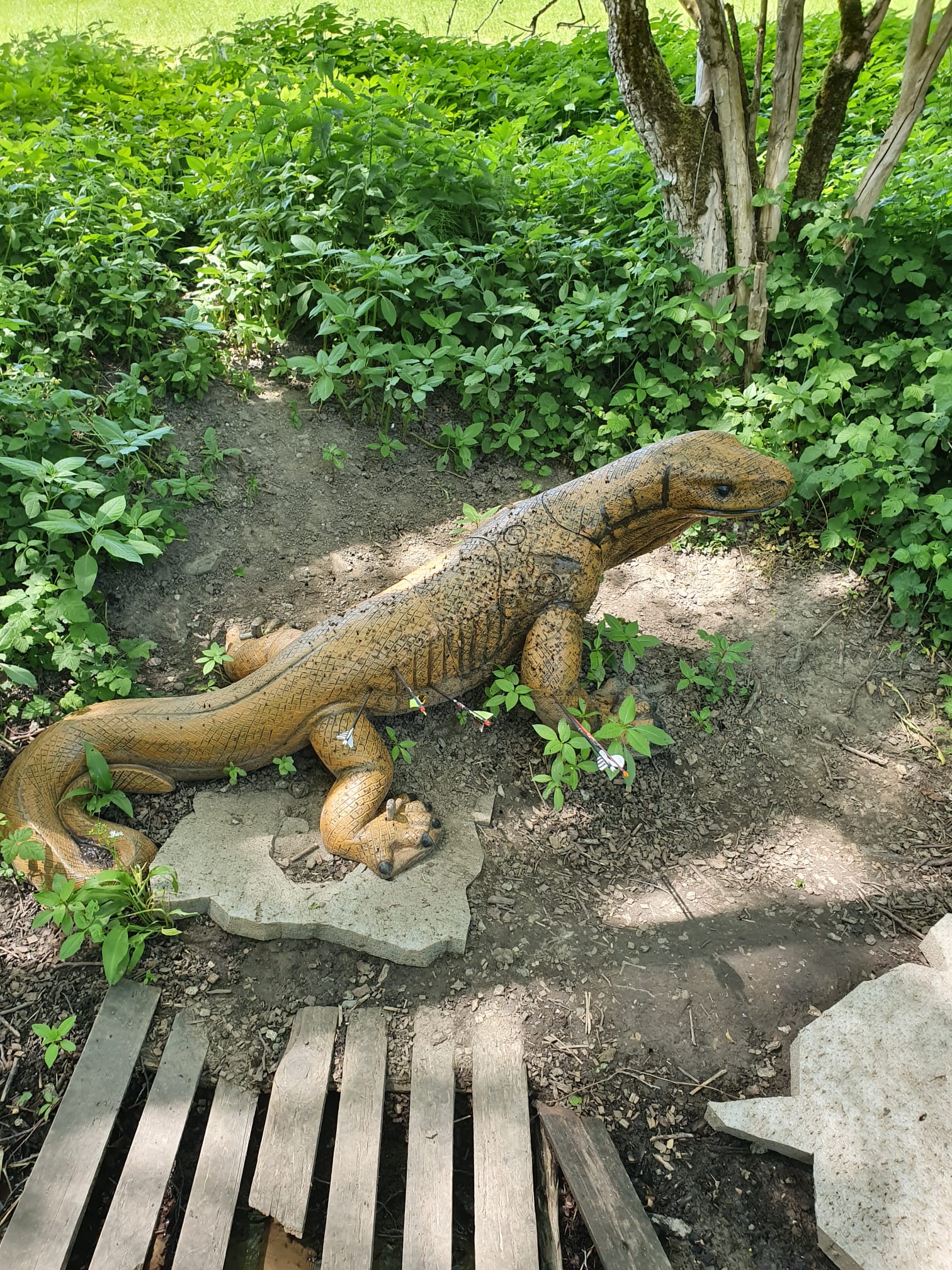 3D Parcour Bogenschießen: Bergabschuss auf Varan - Bogenparcours Lellwangen am Standort Magetsweiler