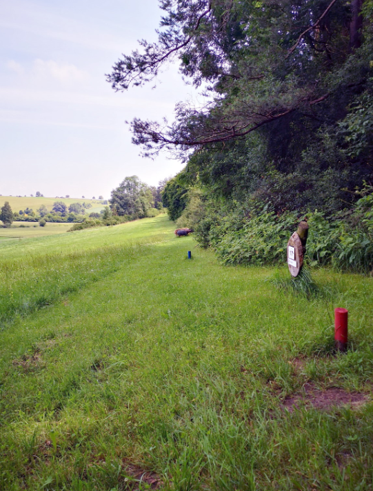 3D archery course - Holzheim (Landkreis Dillingen an der Donau) - SC Hermaringen "Bei der Güssenburg"