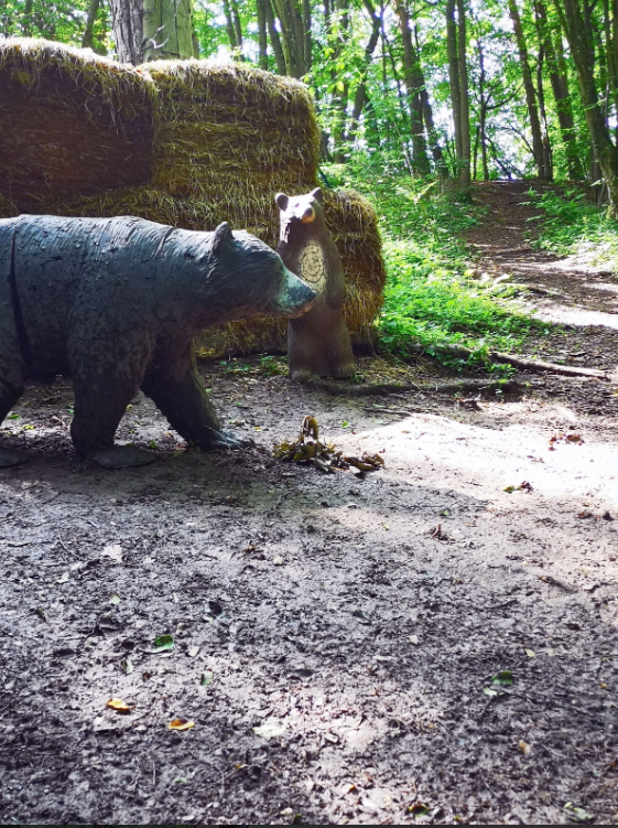 3D archery course - Holzheim (Landkreis Dillingen an der Donau) - SC Hermaringen "Bei der Güssenburg"
