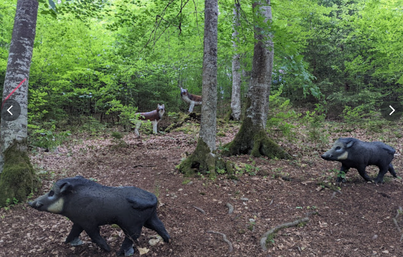 3D archery course - Holzheim (Landkreis Dillingen an der Donau) - Yukon Bogensportparcours