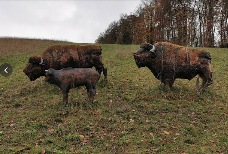 3D archery course - Holzheim (Landkreis Dillingen an der Donau) - Yukon Bogensportparcours