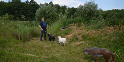 3D archery course - Kaufering - OK, sry Schäfchen. - Gut Moosmühle
