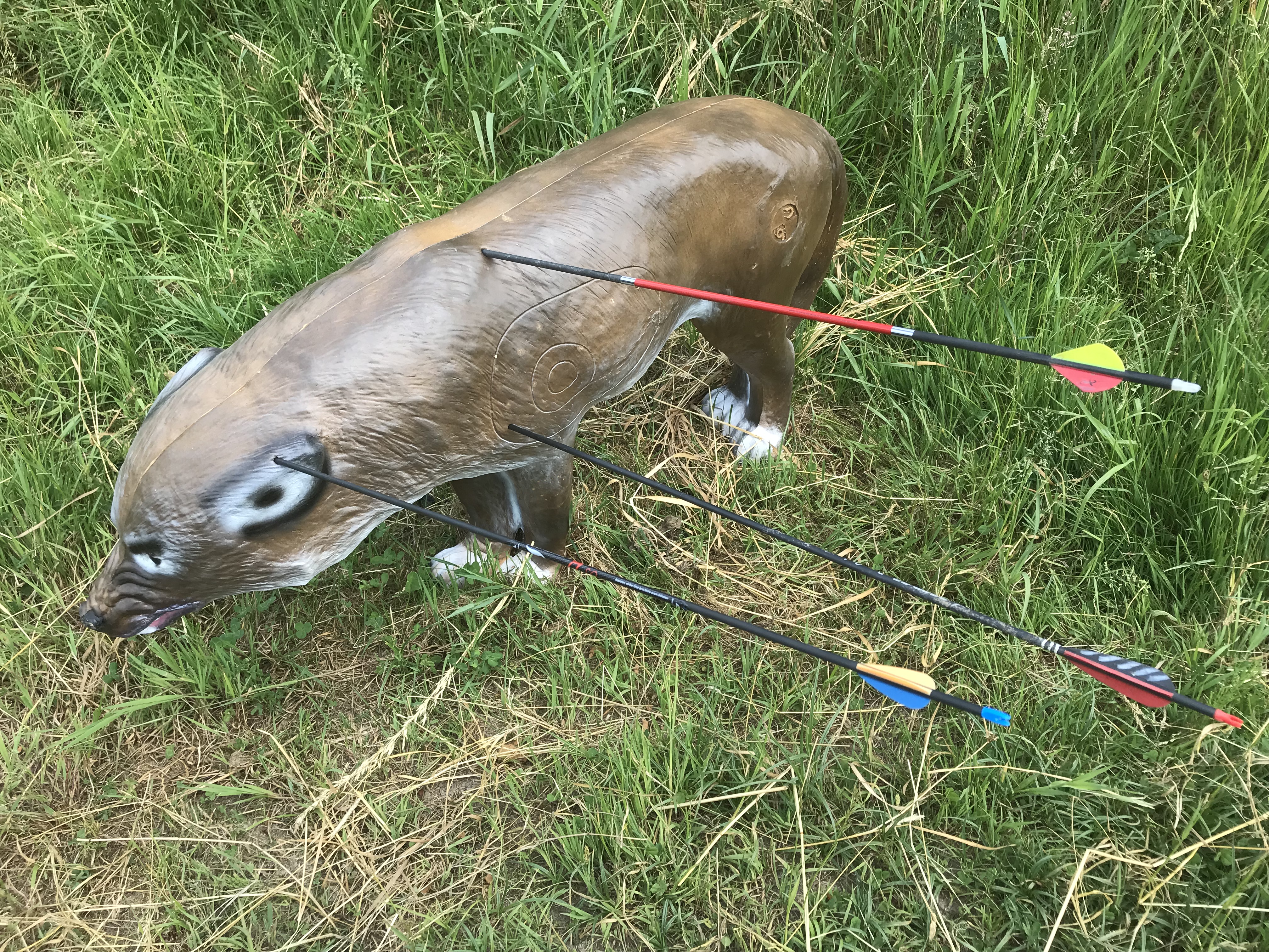 3D Parcour Bogenschießen: Der Fuchs war nagelneu, aber wir mussten leider die Schäfchen vor ihm retten. ;) - Gut Moosmühle