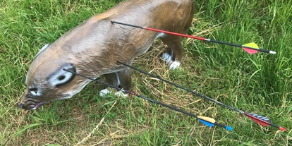 3D archery course - Kaufering - Der Fuchs war nagelneu, aber wir mussten leider die Schäfchen vor ihm retten. ;) - Gut Moosmühle