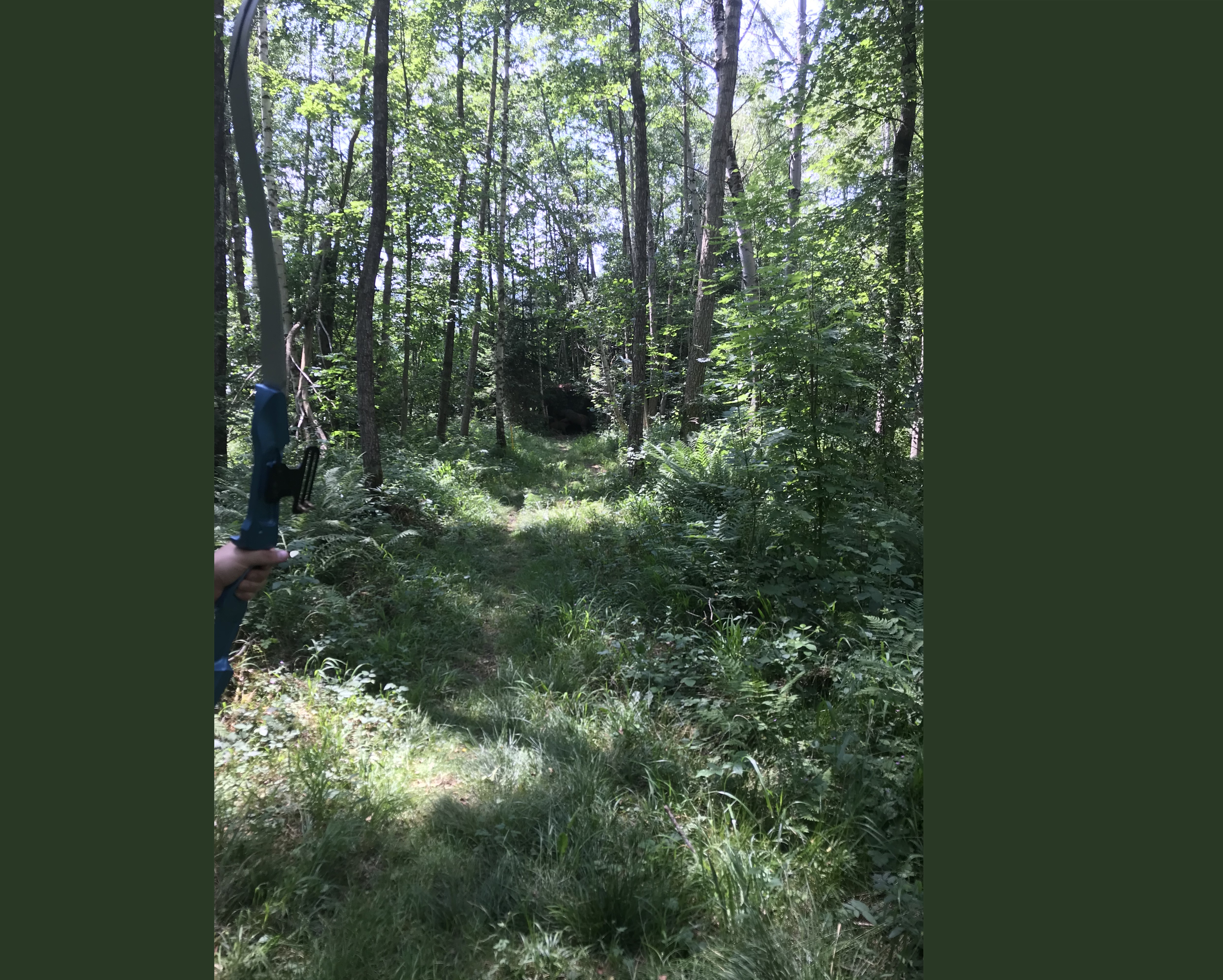 3D Parcour Bogenschießen: Bei der Grizzly Familie stieß nicht nur mein Handy an seine Grenzen, sondern wir mussten auch etwas näher rangehen um nicht zu viele Pfeile in der Botanik zu verlieren. - Gut Moosmühle