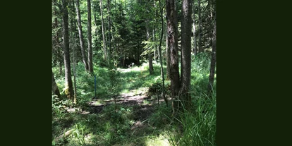3D archery course - Kaufering - Die Station hat uns ein paar Pfeile gekostet. Zudem wurden wir selbst zum Opfer der Mücken im Wald. Das gehört zum Naturerlebnis halt dazu. - Gut Moosmühle