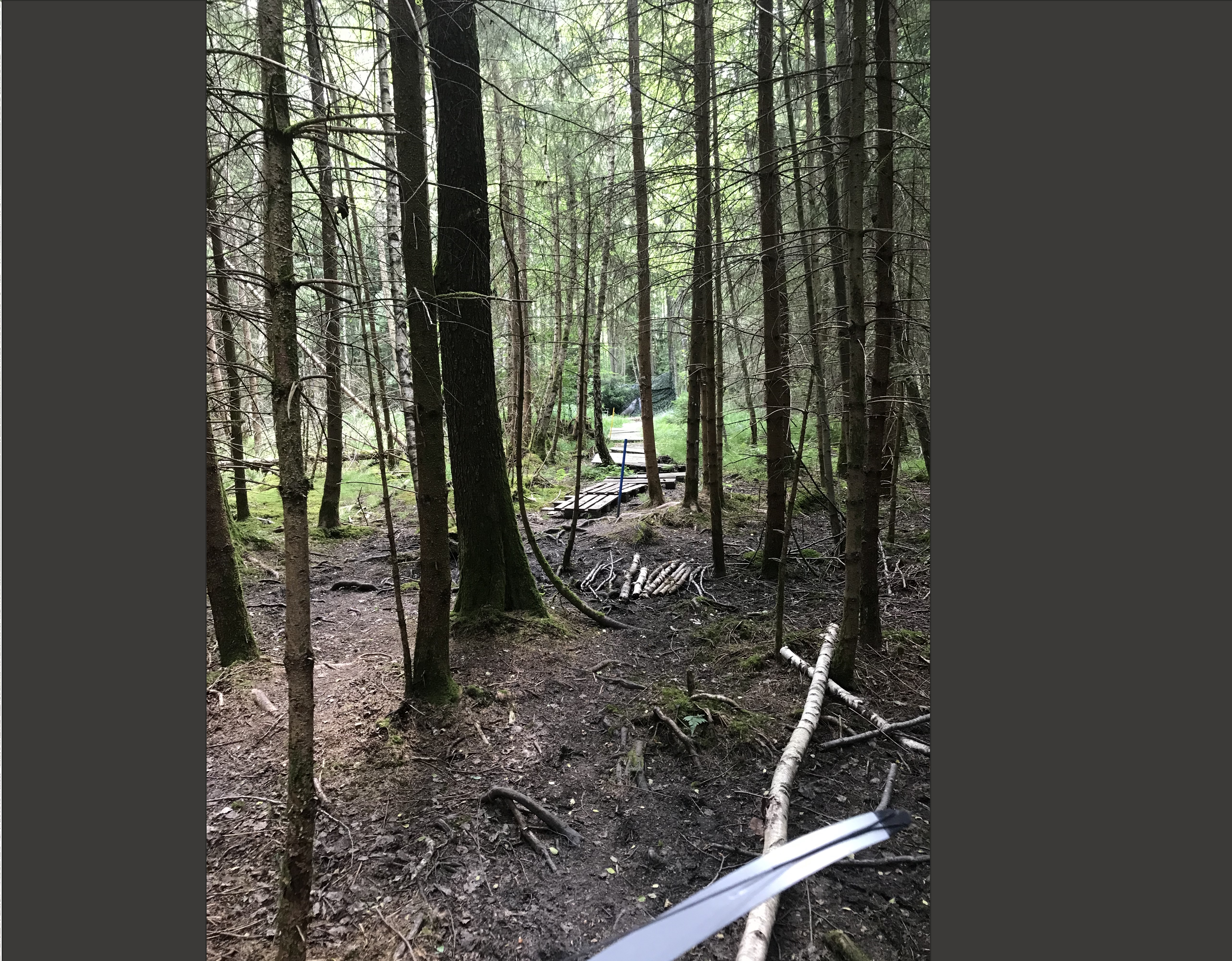 3D Parcour Bogenschießen: Blau und Gelb kommt für uns nicht in Frage. Rot ist angesagt auch wenn wir vor lauter Bäume das Ziel fast nicht gesehen haben. - Gut Moosmühle