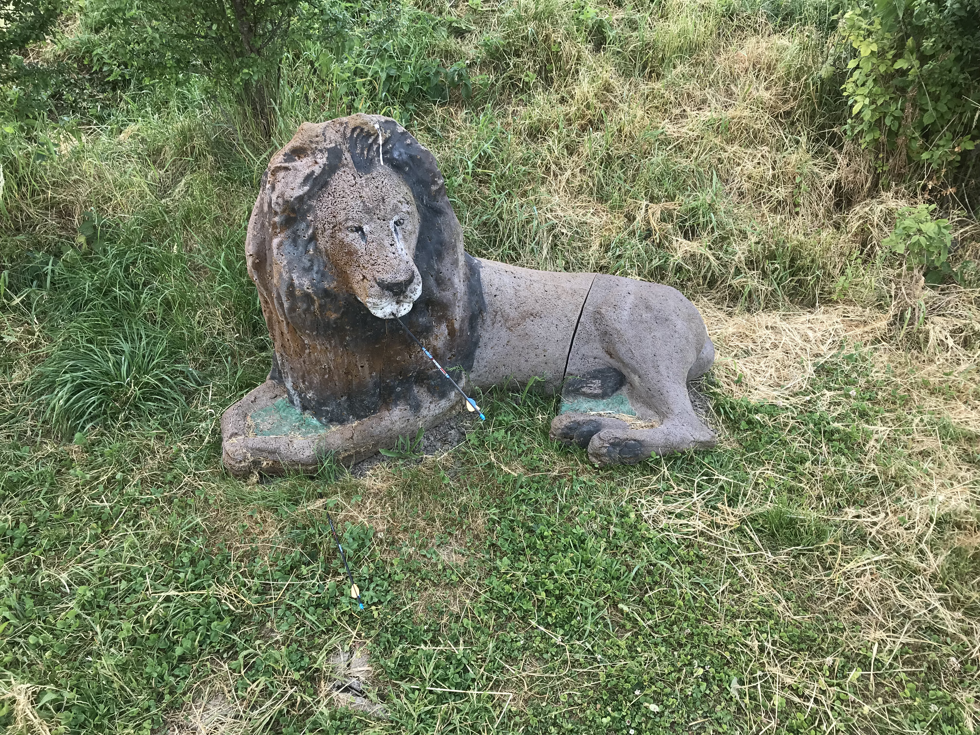3D Parcour Bogenschießen: Große Ziele - Gut Moosmühle