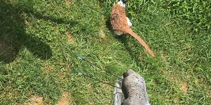 3D archery course - Kaufering - Kleine Ziele - Gut Moosmühle