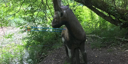 3D archery course - Kaufering - Zum Glück nur Gummi getroffen. - Gut Moosmühle