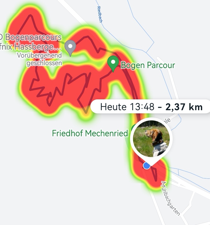 3D archery course - Bavaria - Pacours runde - Treffnix Hassberge