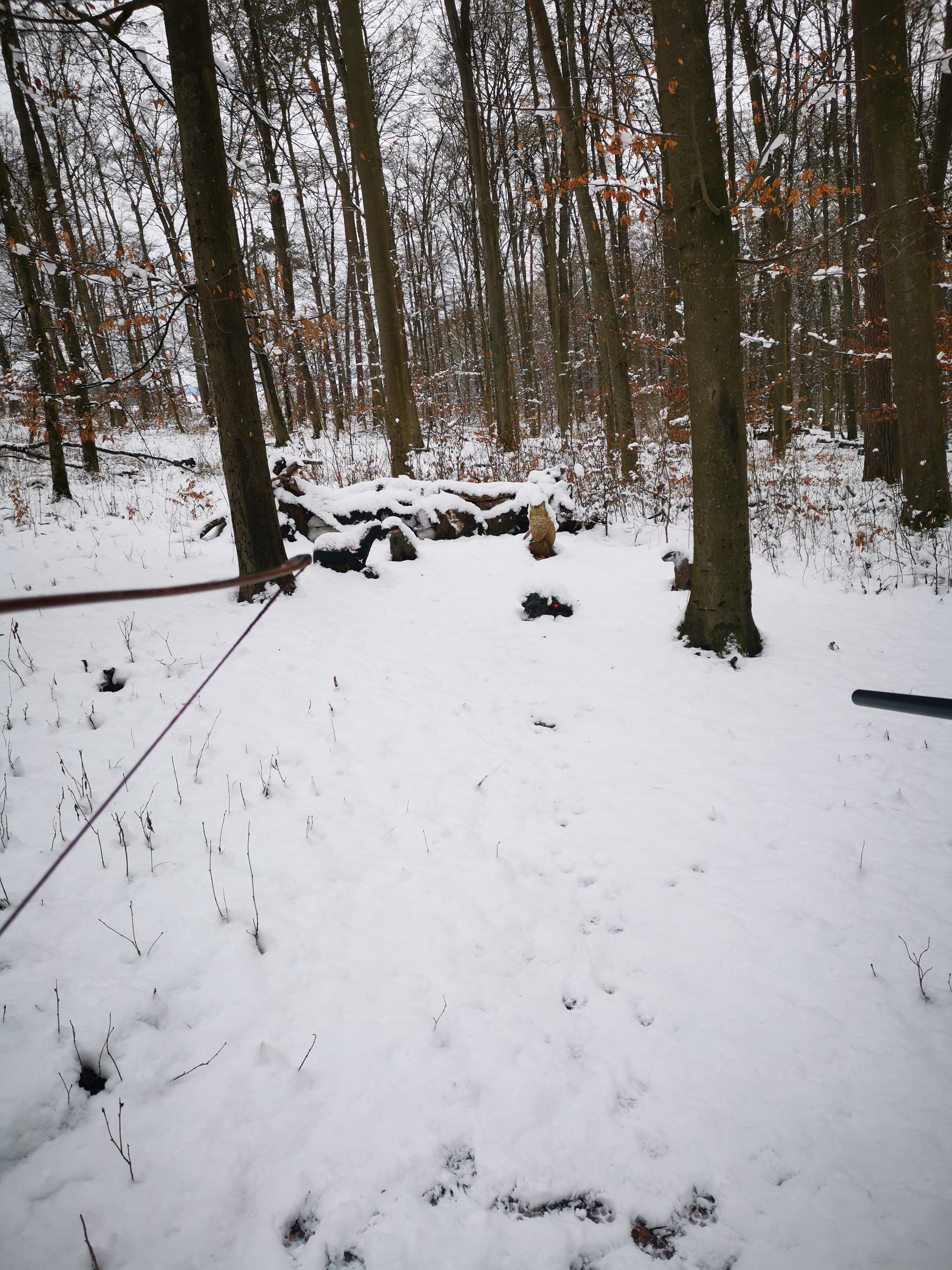 3D archery course - Bavaria - Winter - Treffnix Hassberge
