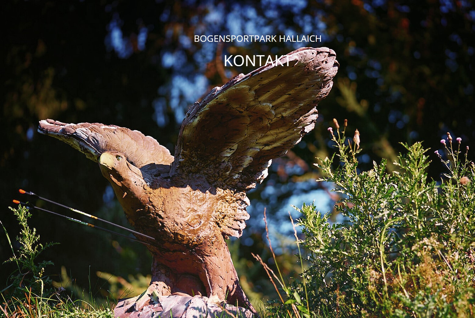 3D archery course - Bavaria - Beim Hallaicher