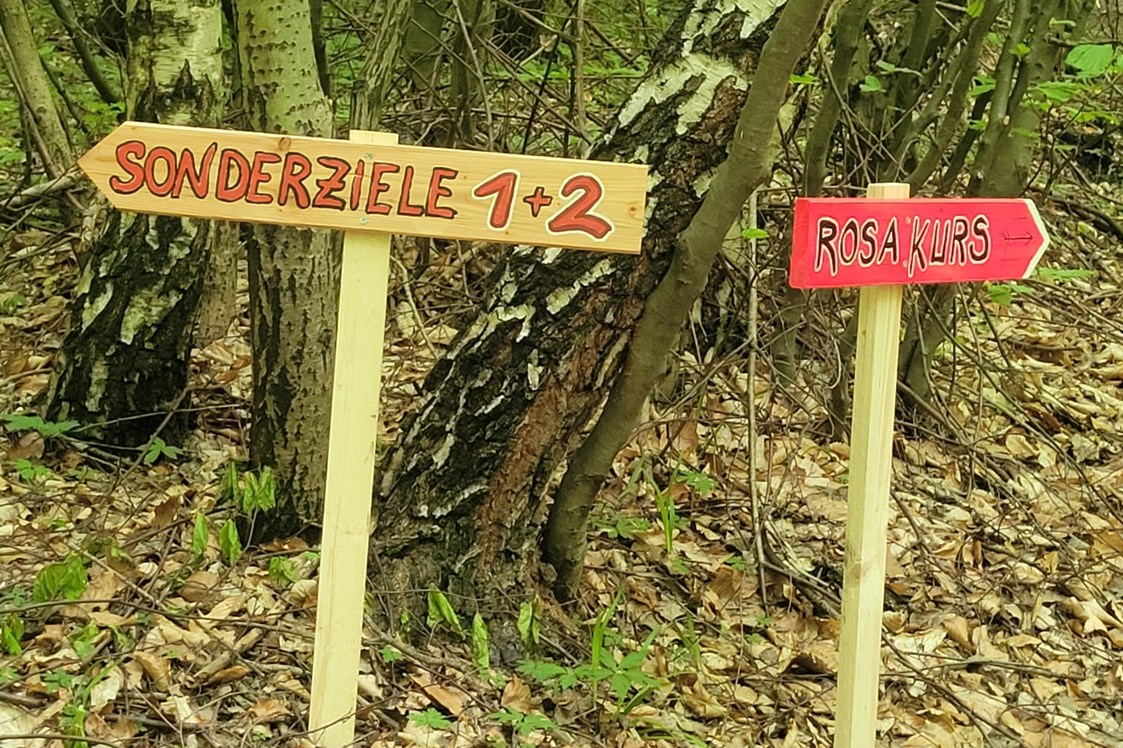 3D - Parcour: Überraschung im Zauberwald: Zwei kleine Extras haben wir für Euch. - Bogenparcours Scheiblingstein