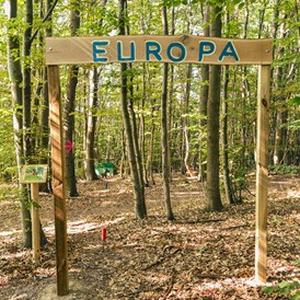 Parcours: Weltreise: Europa - Bogenparcours Scheiblingstein