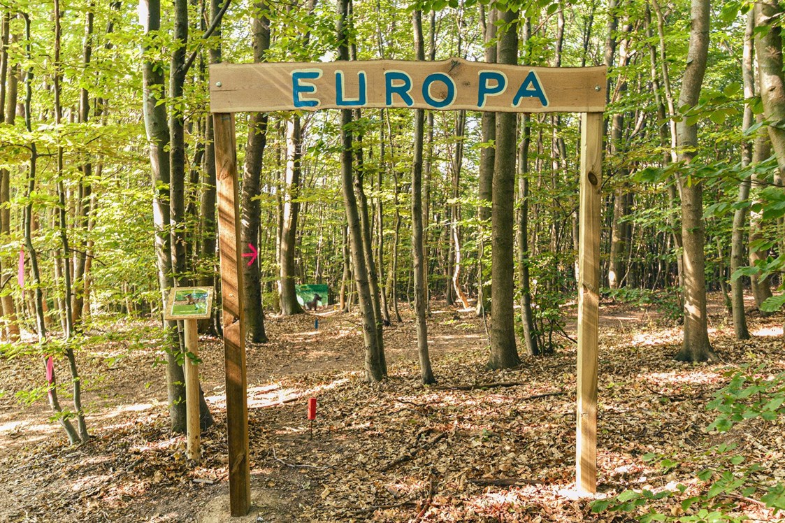 Parcours: Weltreise: Europa - Bogenparcours Scheiblingstein