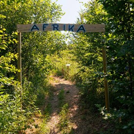 Parcours: Weltreise: Afrika - Bogenparcours Scheiblingstein