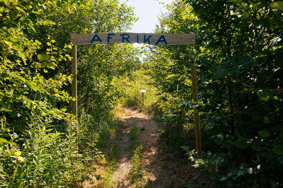 Parcours: Weltreise: Afrika - Bogenparcours Scheiblingstein