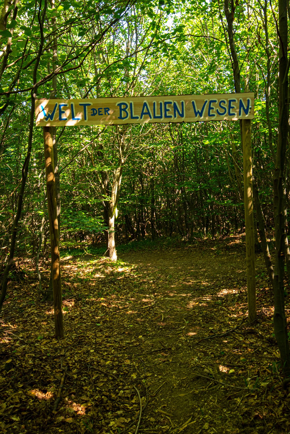 Parcours: Zauberwald: Ab hier beginnt die Welt der blauen Wesen. - Bogenparcours Scheiblingstein