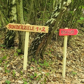 Parcours: Überraschung im Zauberwald: Zwei kleine Extras haben wir für Euch. - Bogenparcours Scheiblingstein