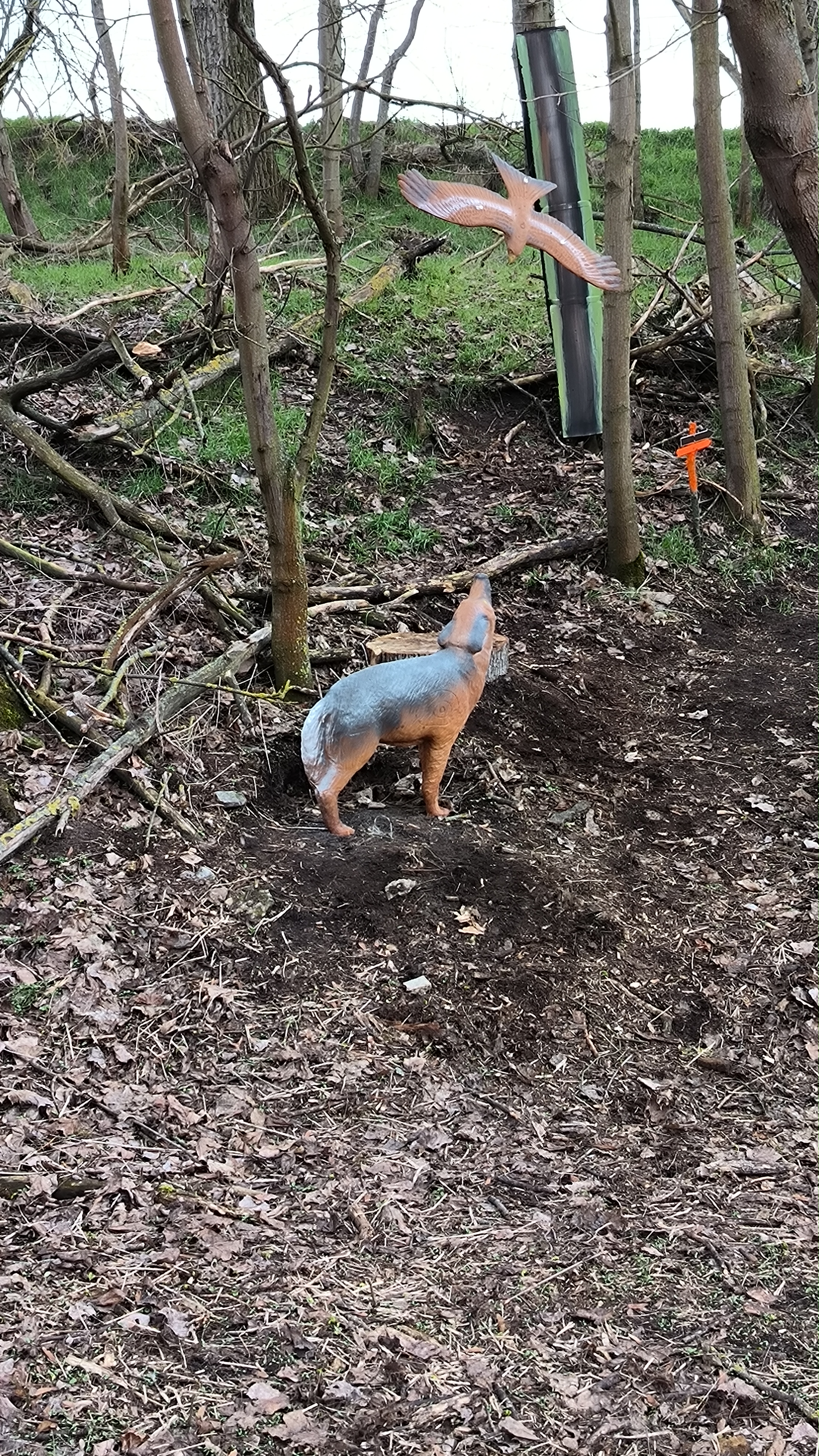 3D Parcour Bogensport - Bogenhalle - Talsberg-Parcours