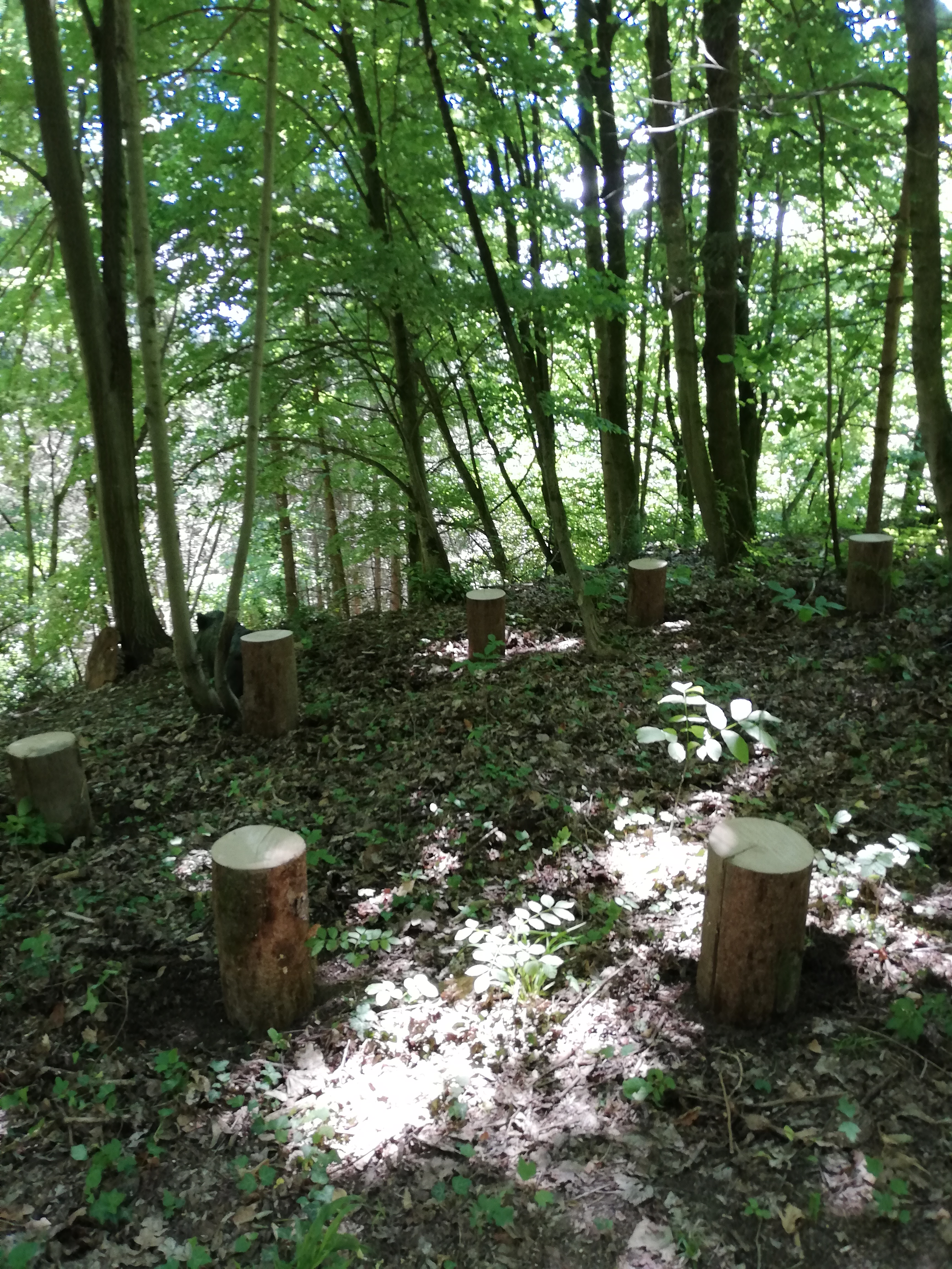 3D Parcour Bogensport - Steiermark - Urlis Kraftplatzl! - Der steirische Bogenguide - 