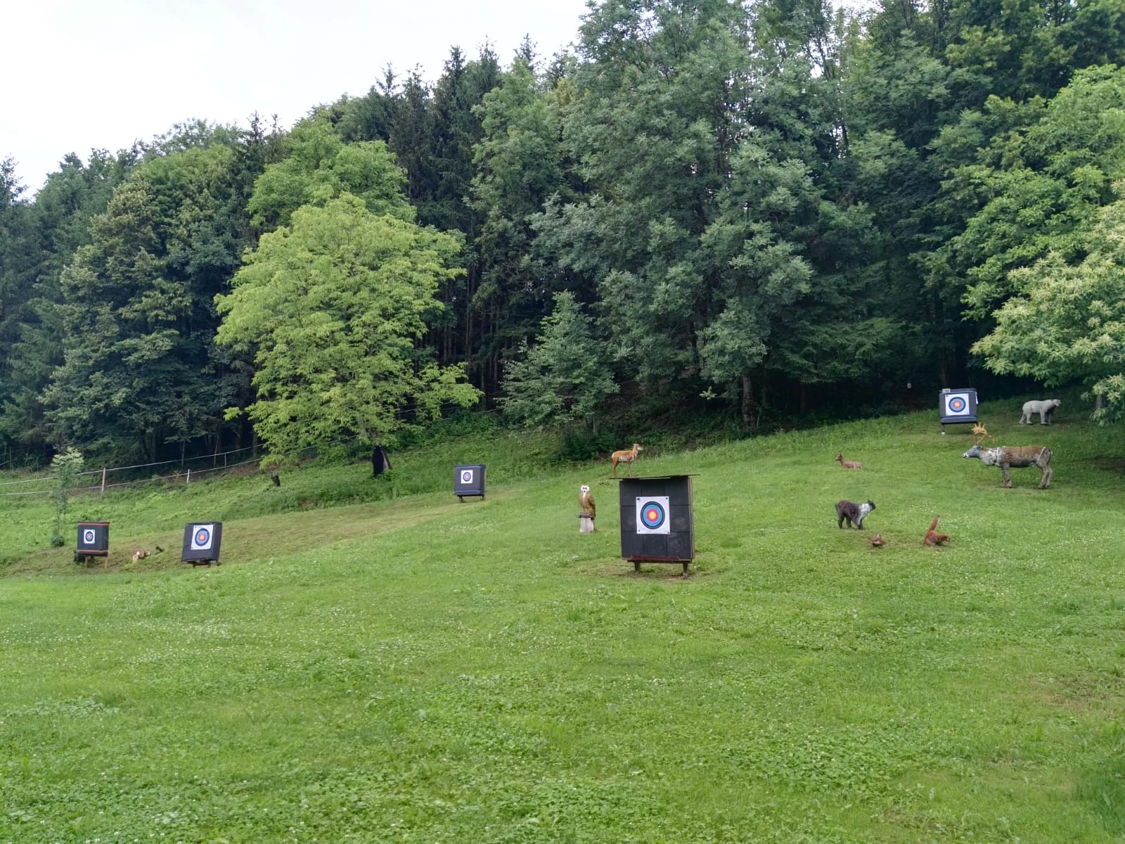 3D Parcour Bogenschießen: Grosser Einschiessplatz - Der steirische Bogenguide - 