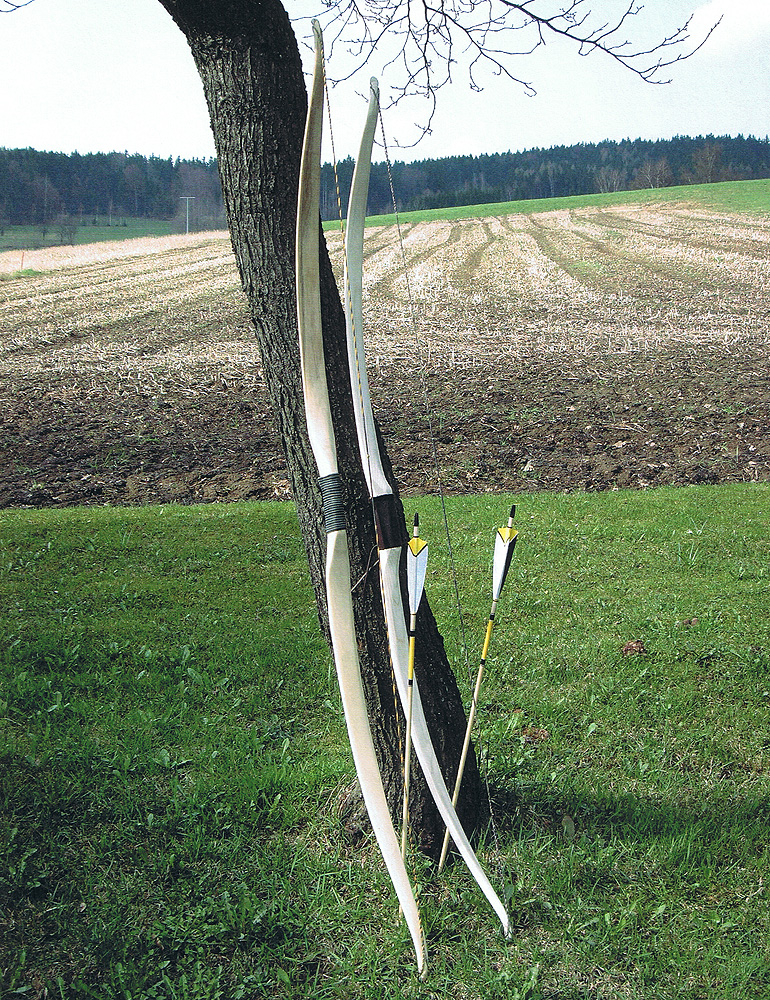3D Parcour Bogensport - Bayern - Alkmona Woodart