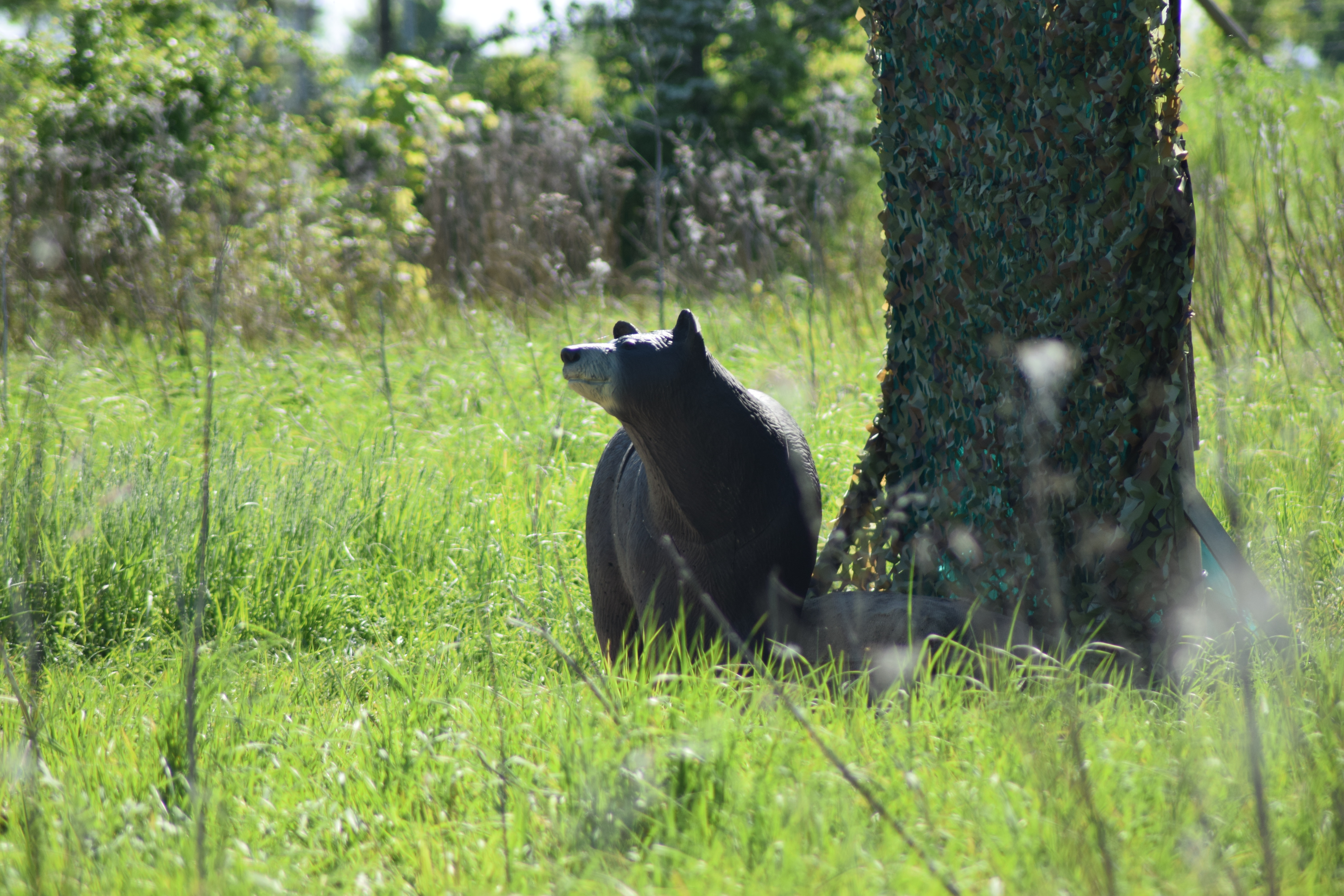 3D Parcour Bogensport - WC im Shop - BOWHUNTER World