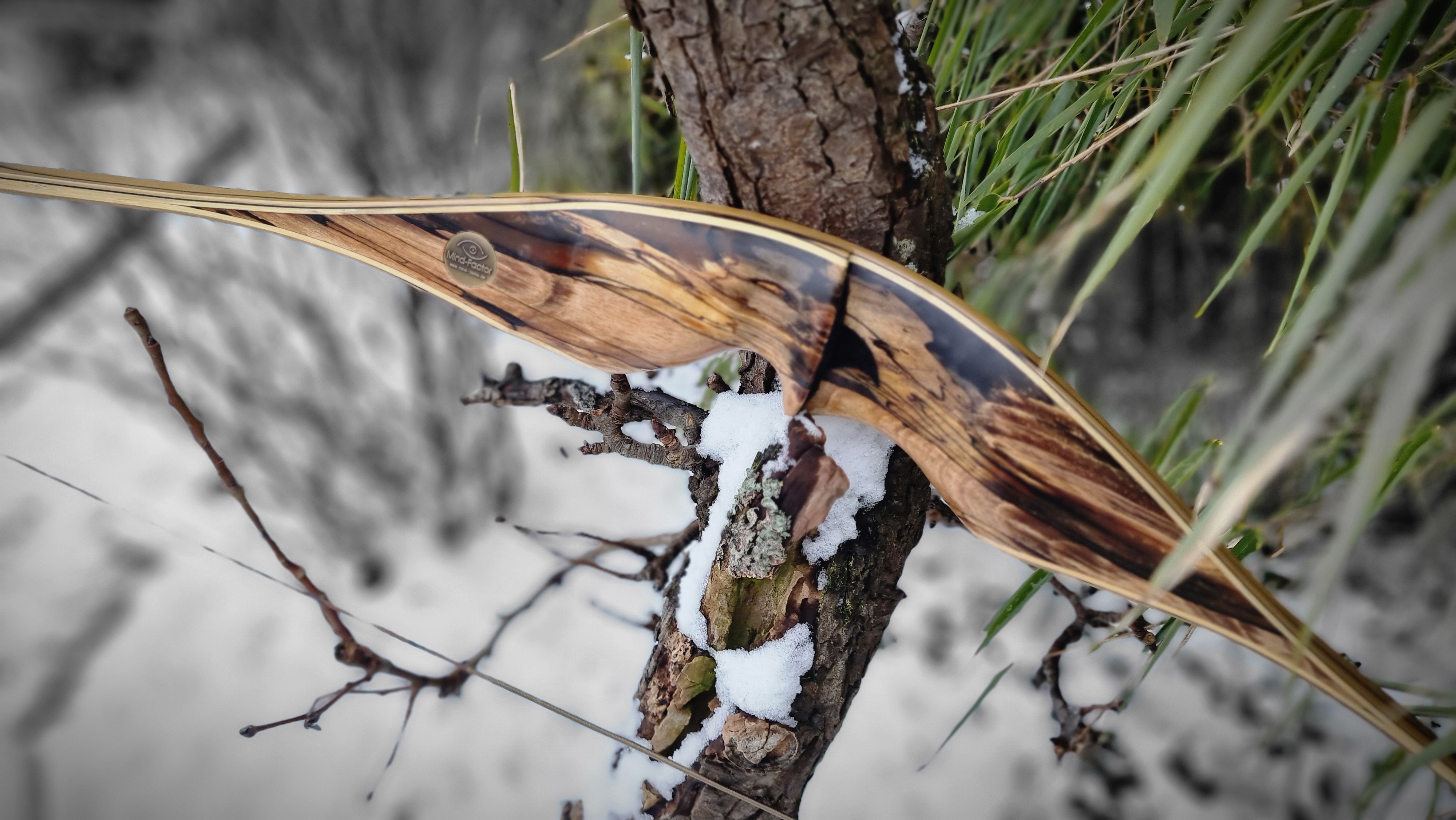 Hersteller&Marke-Details: Mind-Factor Bogensport