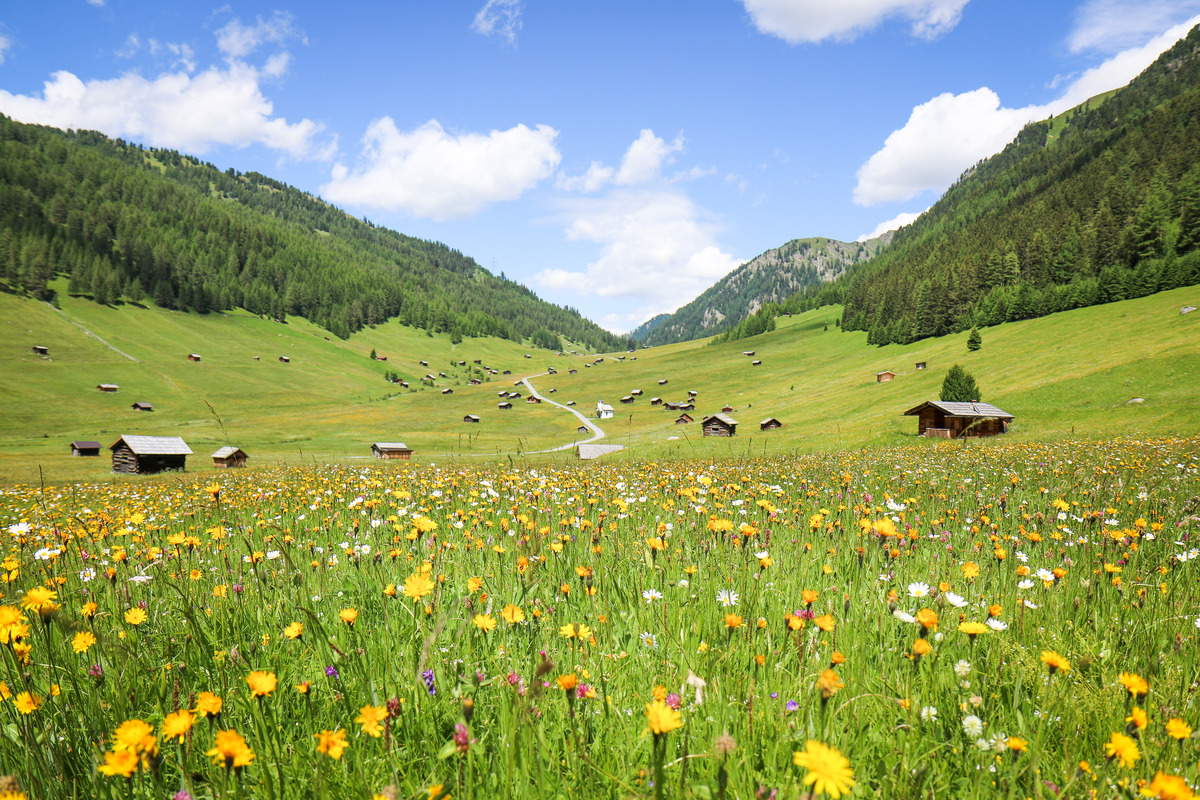 Urlaub & Essen: Wanderparadies Pfundser Tschey mit seinen unzähligen Heustadeln. - Ferienregion Tiroler Oberland