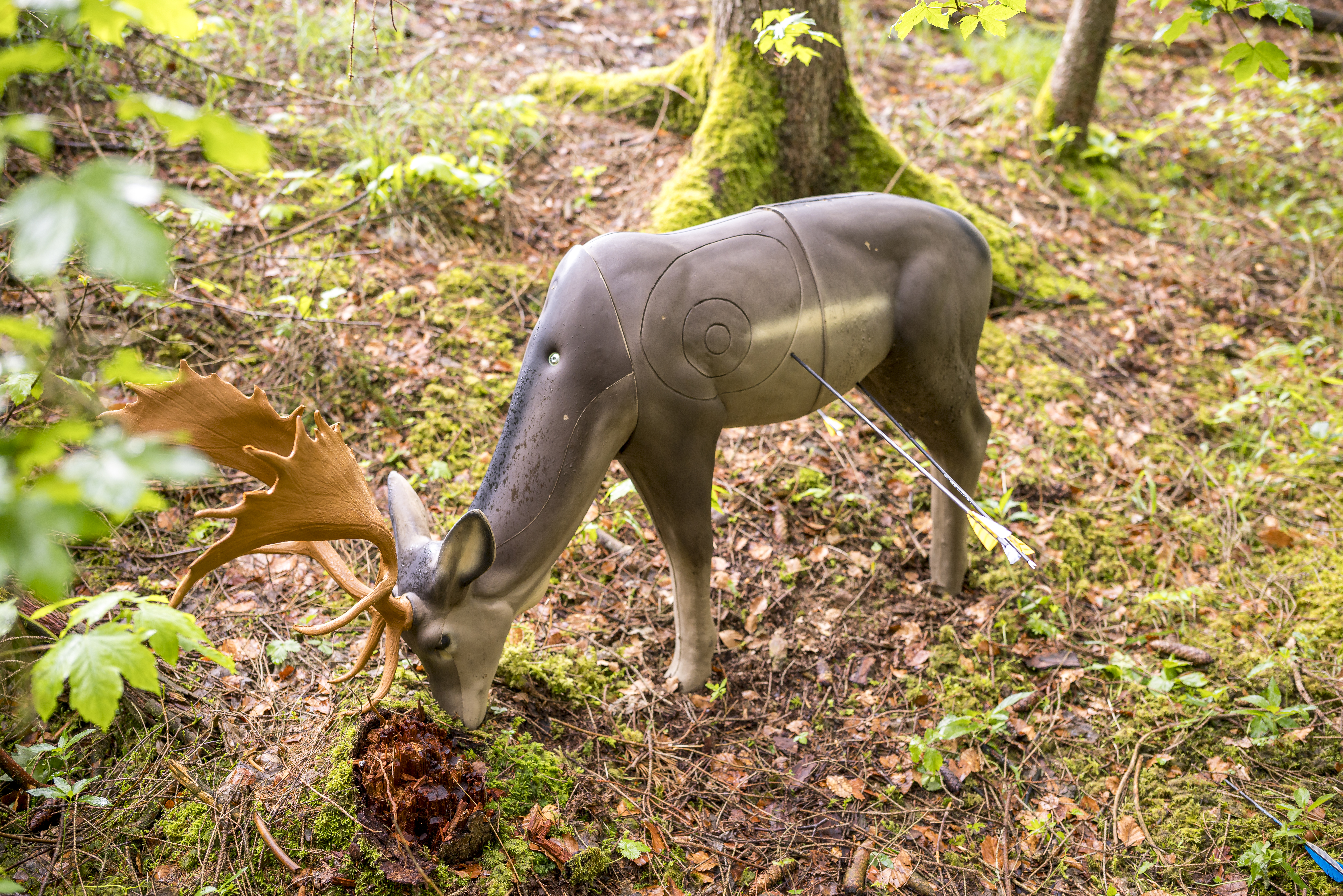 3D Parcour Bogenschießen: 3D Bogenparcours Jeisshütte von Archer´s Best