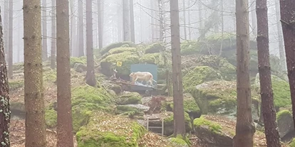 3D Parcour Bogensport - Grensberg - Arra 3D-Bogensportparcours