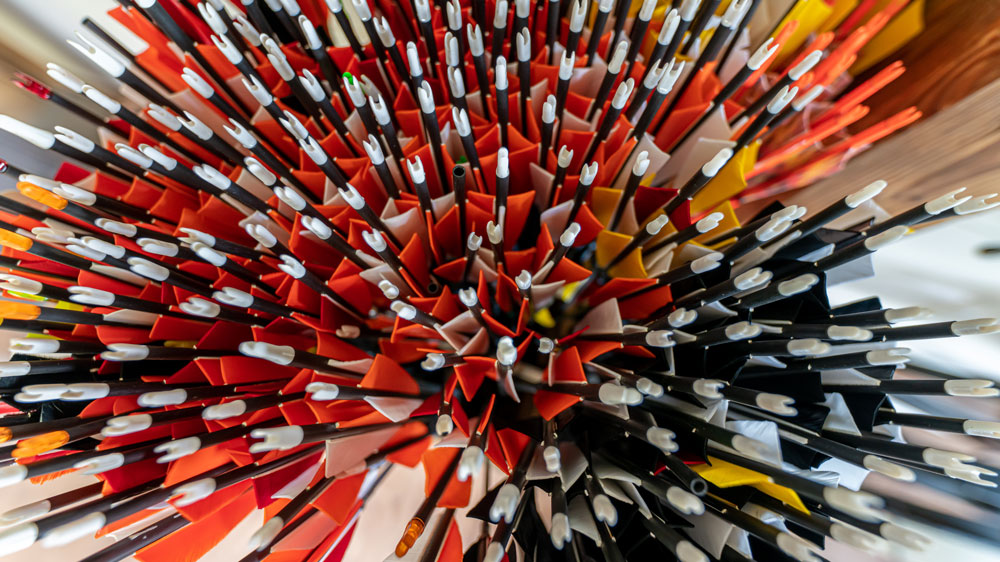 3D Parcour Bogensport - Österreich - Fertigpfeile in div. Spines lagernd - Bogensport Pottenbrunn