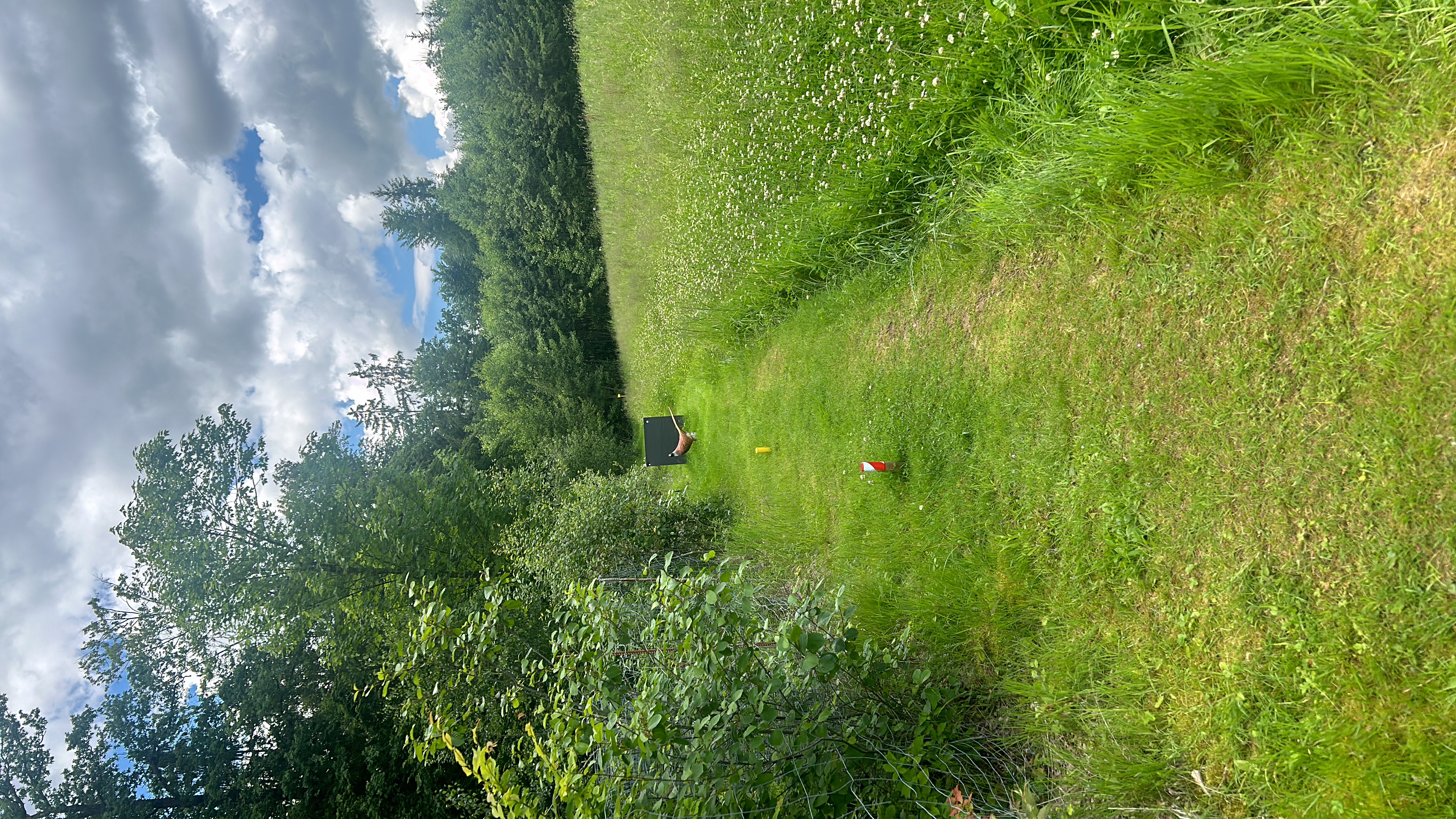 3D Parcour Bogenschießen: Tobischs Bogenrach
