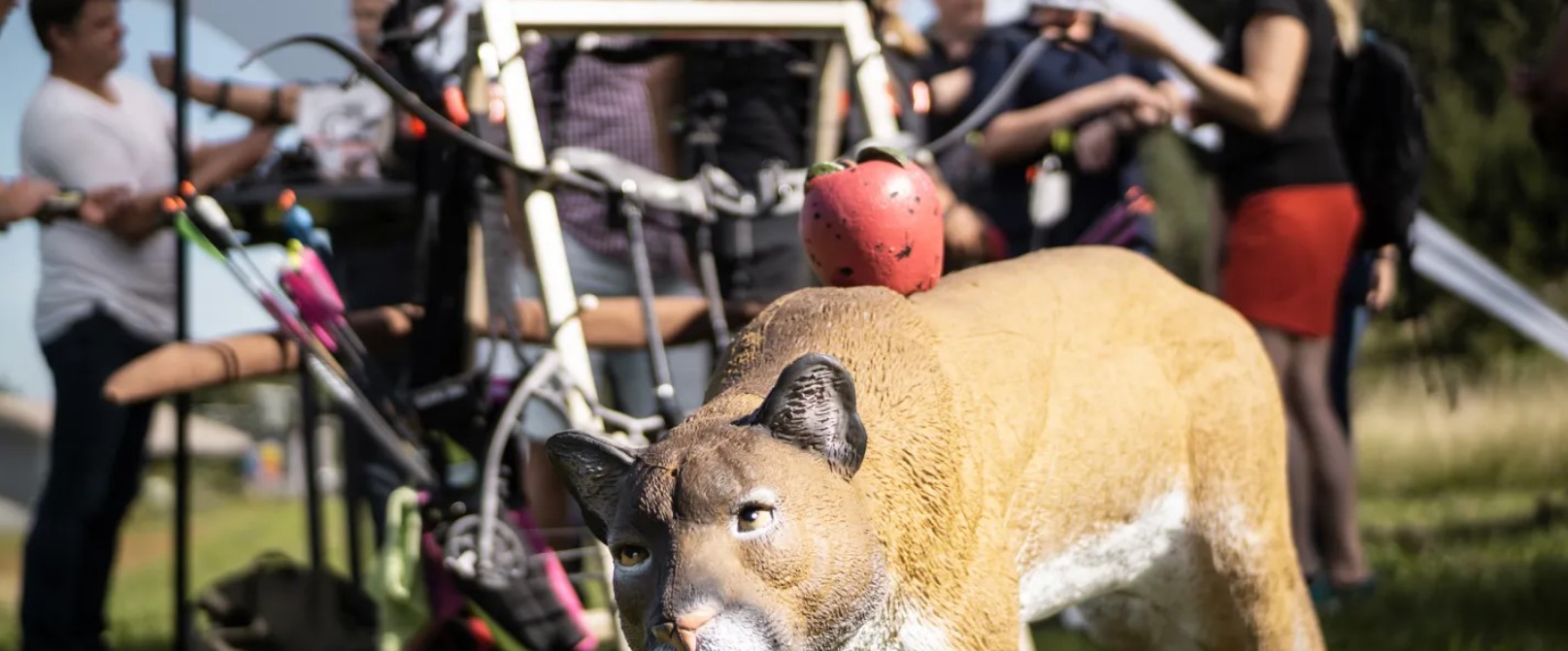 3D archery course - Grünkraut - 3D Bow Hunter