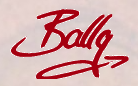 3D Parcour Bogensport - Baden-Württemberg - Ballg Pfeil und Bogenmanufaktur