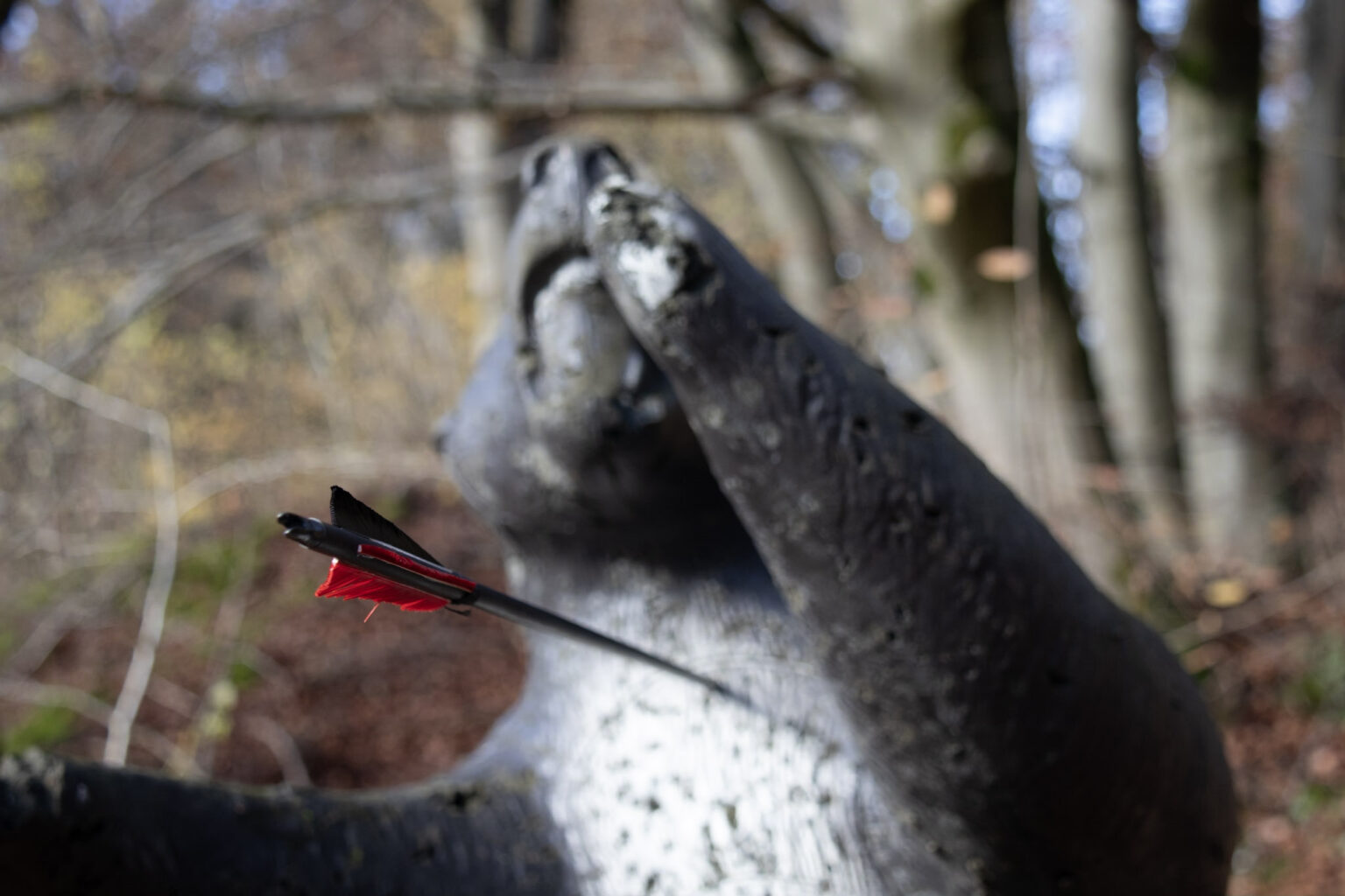 3D archery course - Ostbayern - Schwert&Bogen Bogenparcour auf Burg Hohenstein
