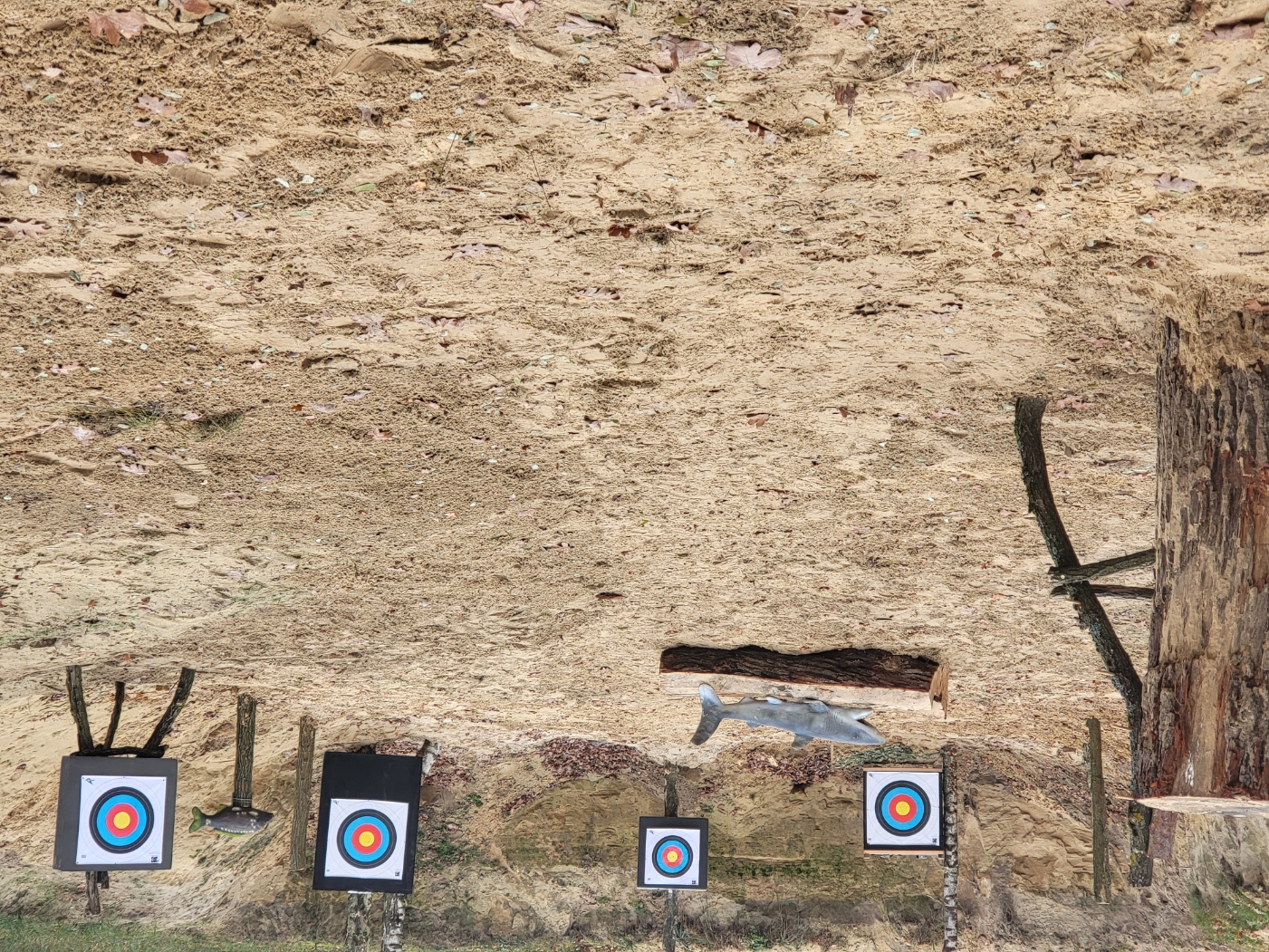 3D archery course - Einschussplatz - Einschießplatz mit Scheiben und 3-D-Ziel - Fleether Mühle