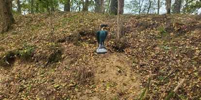 3D Parcour Bogensport - Neubrandenburg - Kormoran - Fleether Mühle