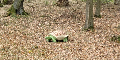 3D Parcour Bogensport - Neubrandenburg - Schildkröte - Fleether Mühle