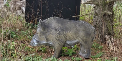 3D Parcour Bogensport - Neubrandenburg - Keiler - Fleether Mühle