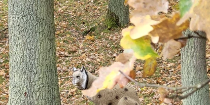 3D Parcour Bogensport - Neubrandenburg - Luchs auf dem Sprung - Fleether Mühle