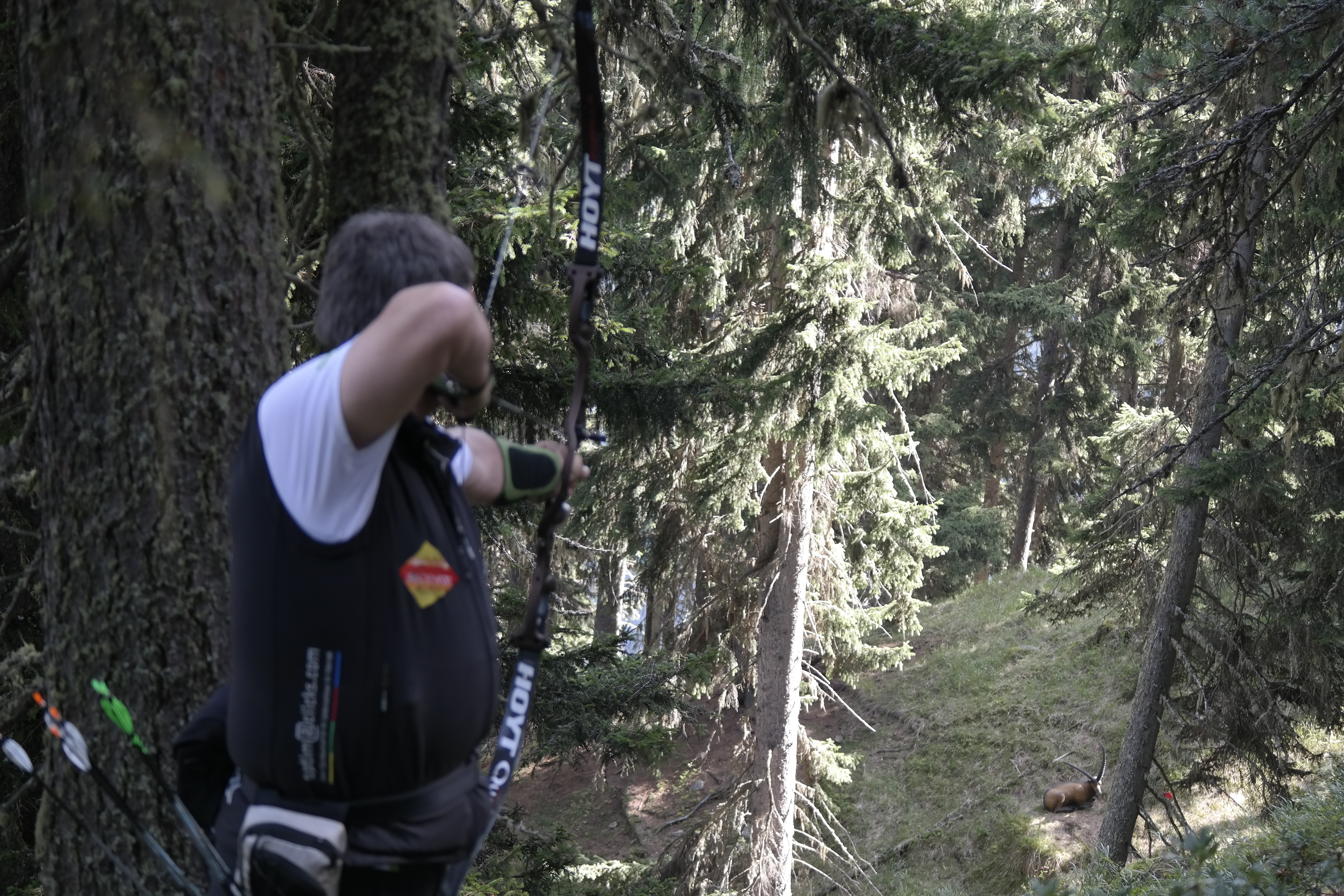 3D Parcour Bogenschießen: Sigi beim Schuss auf den Steinbock am Almrausch - Bogenparcours Schlegl und Almrausch