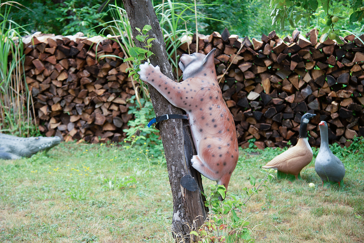 3D Parcour Bogensport - Bogenhalle - 3D Parcours BogenSportWelt Anklam