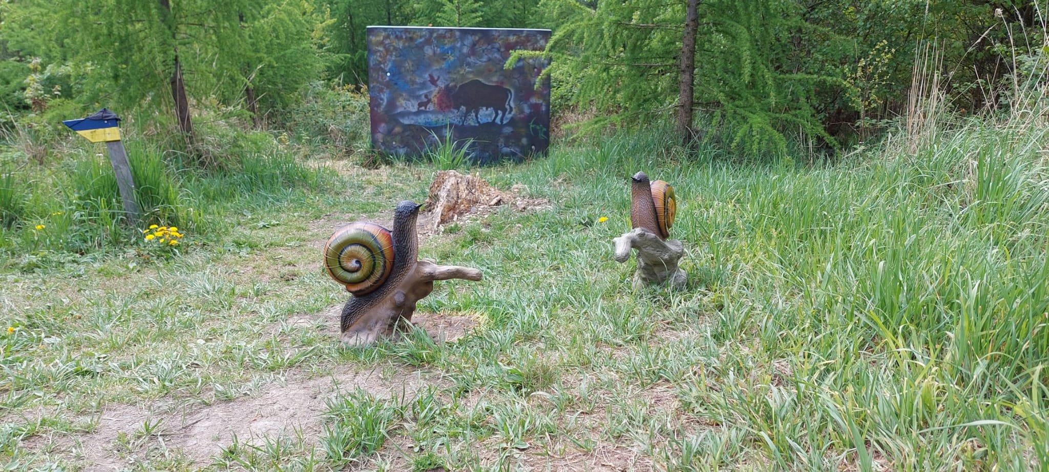 Club Naturaktiv Bogensport Irenental Different courses Course 2