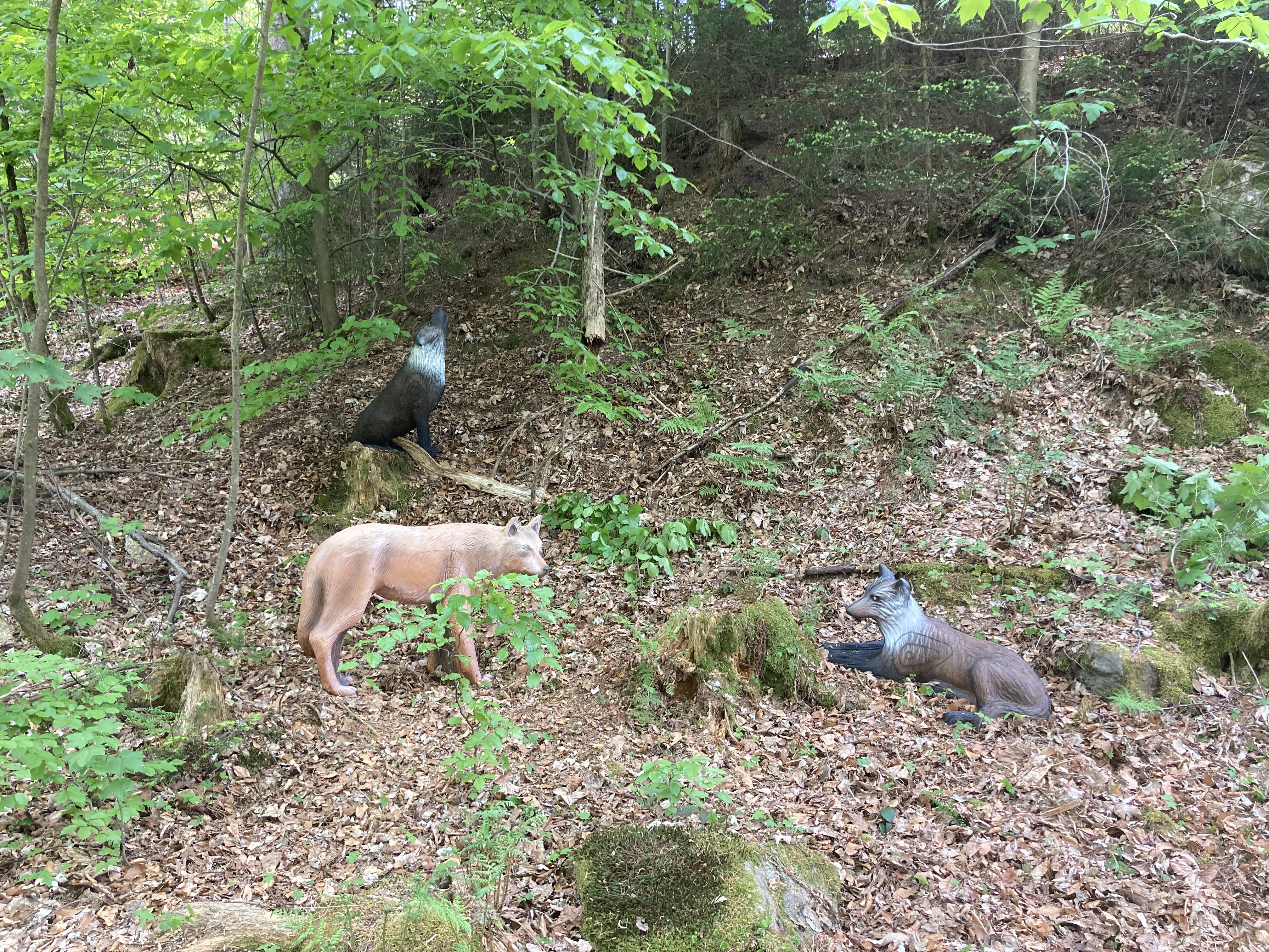 3D-Bogenparcours am Ochsenkopf Unterschiedliche Parcours Kurze Runde - ca. 10 Stationen